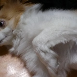 20150524_195003_17848756660_o.jpg