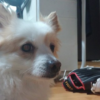 20150524_200453_18010854116_o.jpg