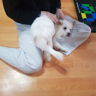 kakaotalk_20250203_172508257_03_54344665448_o.jpg