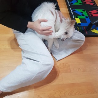 kakaotalk_20250203_172508257_02_54344433316_o.jpg
