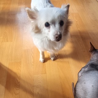 kakaotalk_20250221_132501122_54343541027_o.jpg