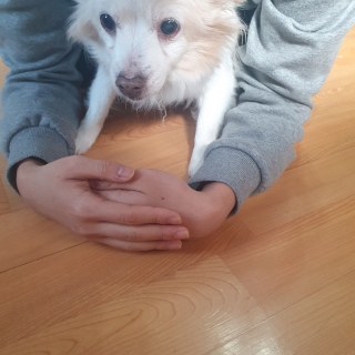 kakaotalk_20250219_144130538_02_54343541047_o.jpg