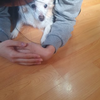 kakaotalk_20250219_144130538_05_54343541072_o.jpg