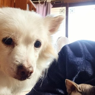 kakaotalk_20250221_135124160_02_54344433426_o.jpg