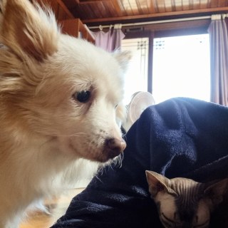 kakaotalk_20250221_134643375_03_54344665523_o.jpg