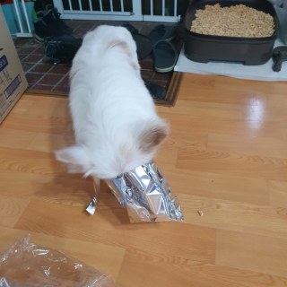 kakaotalk_20250222_101307900_04_54344850980_o.jpg