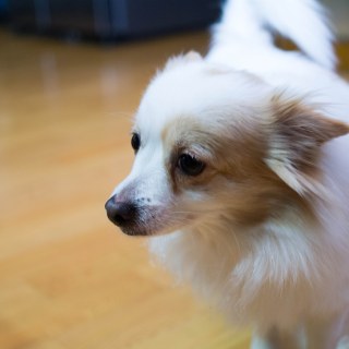 sam_2154_12246712114_o.jpg