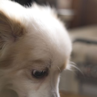 sam_3457_c_33430054926_o.jpg
