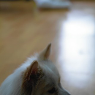 sam_4460_6490624869_o.jpg