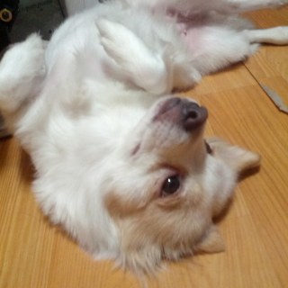 IMG_20121116_224844.jpg