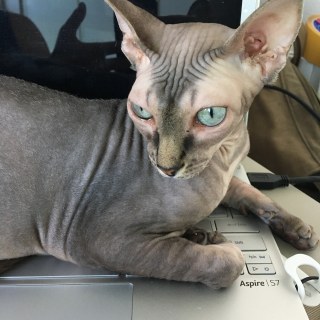 img_0802jpg_29603195567_o.jpg