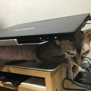 img_0855jpg_29625881267_o.jpg