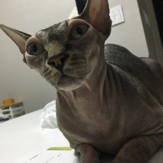 img_0903jpg_44157823755_o.jpg
