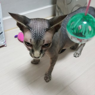 20180402_211051_41137844532_o.jpg