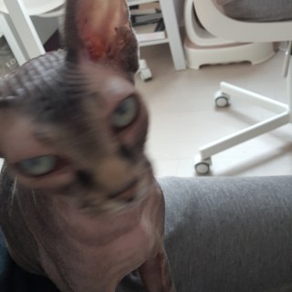 20180403_083252_39386147050_o.jpg