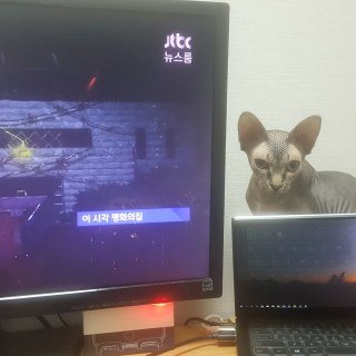 20180427_211840_28502529738_o.jpg