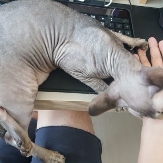 20180602_105610_42074894235_o.jpg