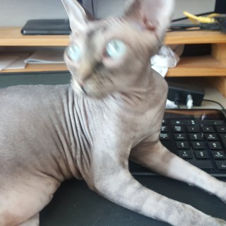 20180602_105627_42257870964_o.jpg