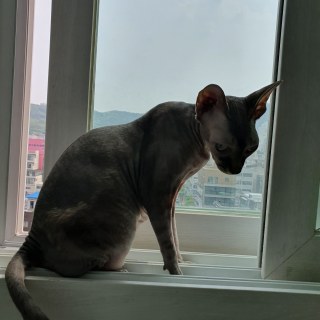20190512_112038_52380323926_o.jpg
