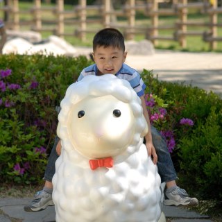 DSC_7335.jpg