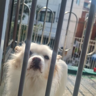 KakaoTalk_20250304_185746909_10.jpg