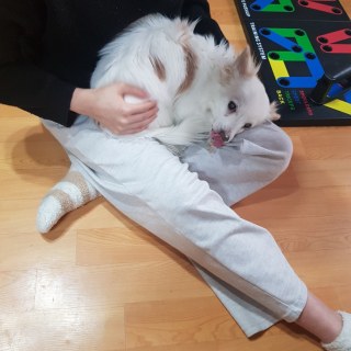 KakaoTalk_20250203_172508257_01.jpg