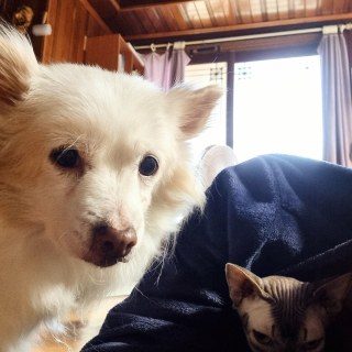 KakaoTalk_20250221_134643375_02.jpg