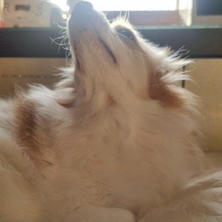 KakaoTalk_20250304_185746909_02.jpg