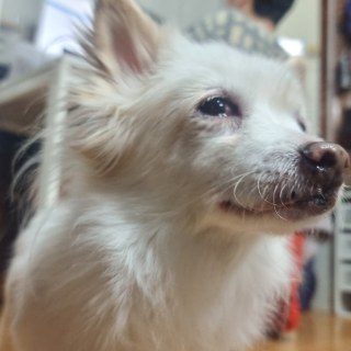 KakaoTalk_20250304_185746909_09.jpg