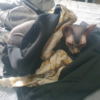 KakaoTalk_20250219_125800515_01.jpg