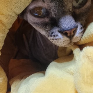 KakaoTalk_20250222_201207591.jpg