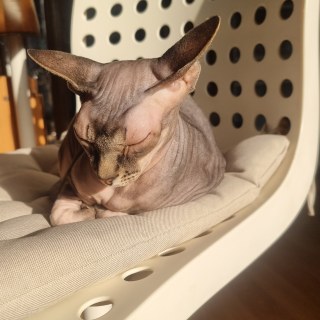 KakaoTalk_20250304_185746909_01.jpg