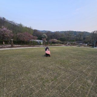 20260414_185127.jpg