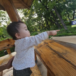 20260524_183200.jpg