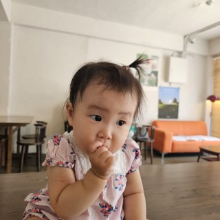 다린 앨범