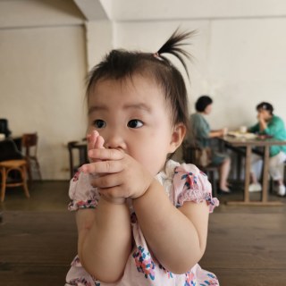 다린 앨범