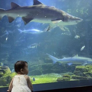 KakaoTalk_20260815_132508229_02