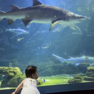 KakaoTalk_20260815_132508229_03