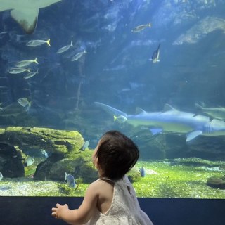 KakaoTalk_20260815_132508229_05