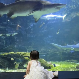 KakaoTalk_20260815_132508229_04