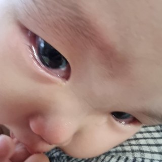 KakaoTalk_20260718_092512674_03