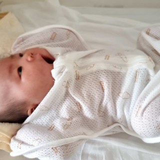 KakaoTalk_20250724_143119402