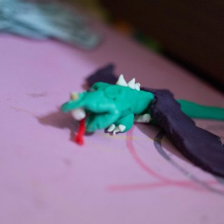 SAM_2361
