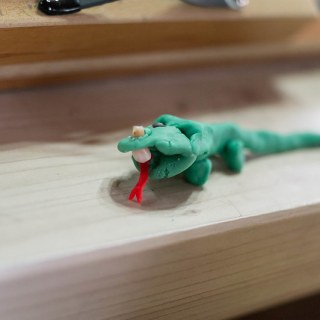 SAM_2354