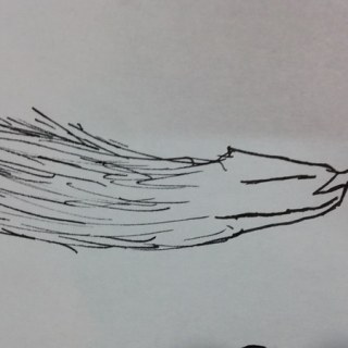 20140118_003349