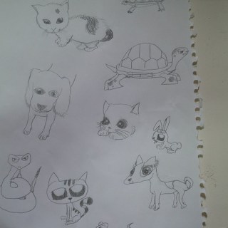 SAM_6356