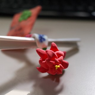 SAM_6351