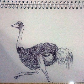 가은그림