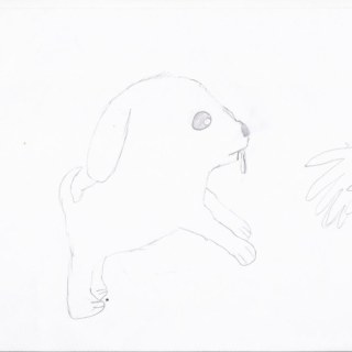 20090607_dog