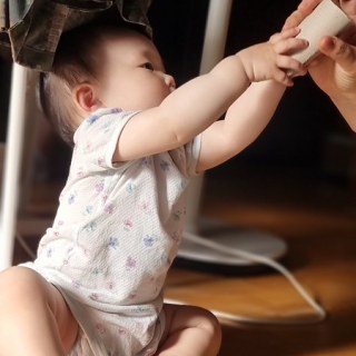 다린